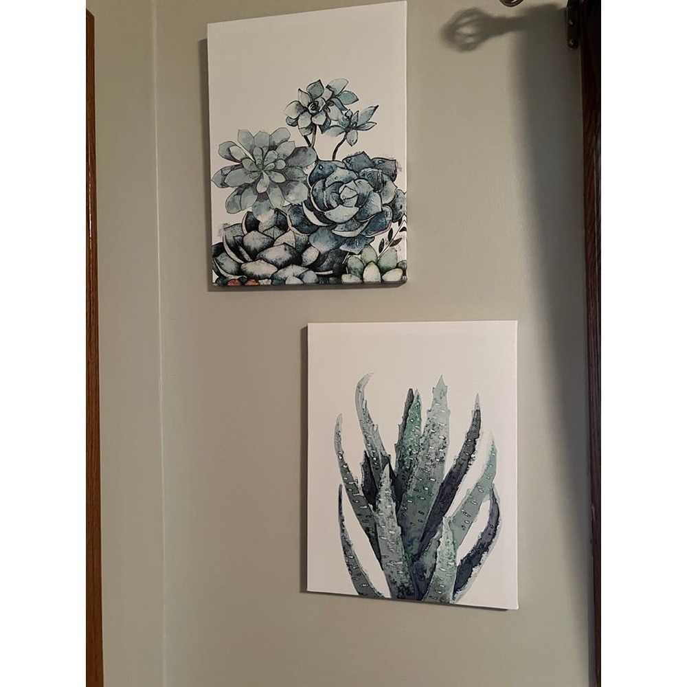 Succulent Canvas Pictures